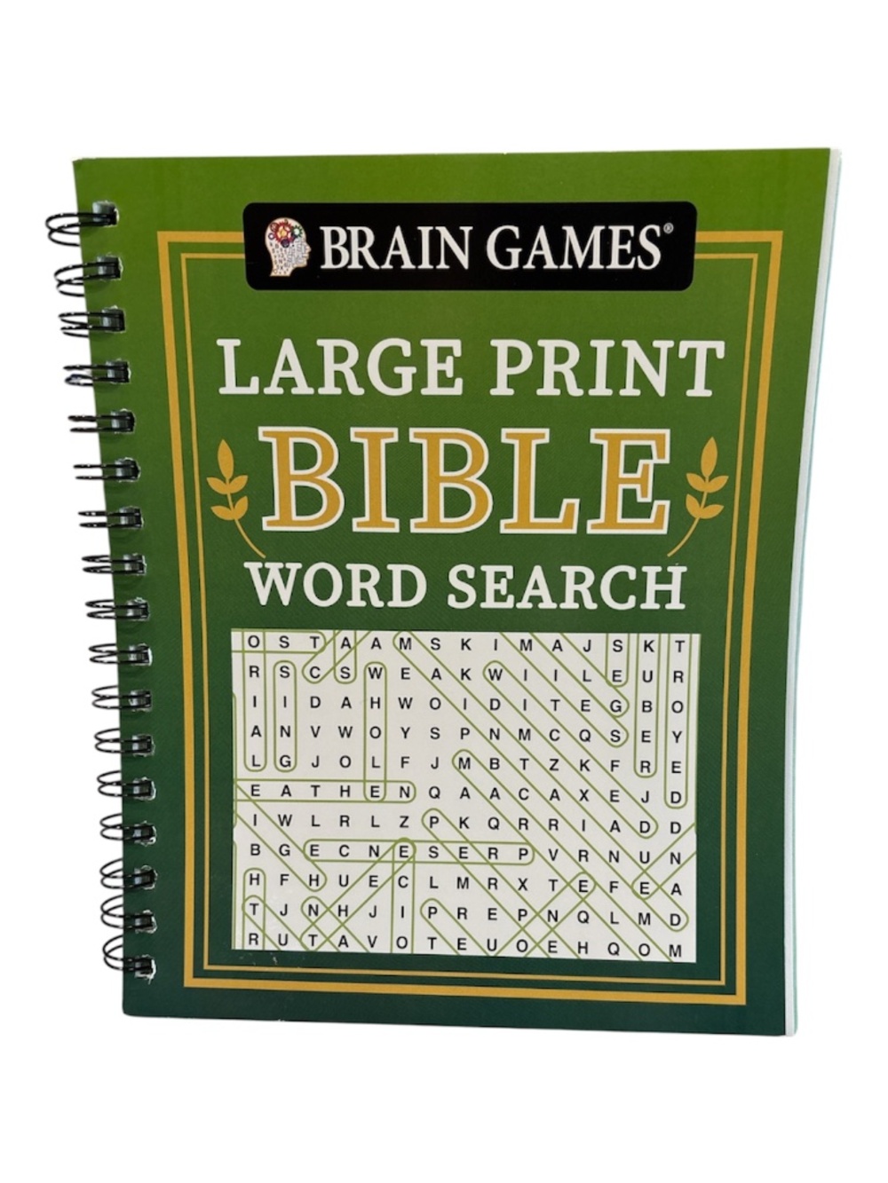 BIBLE WORD SEARCH  Large Print and Pen